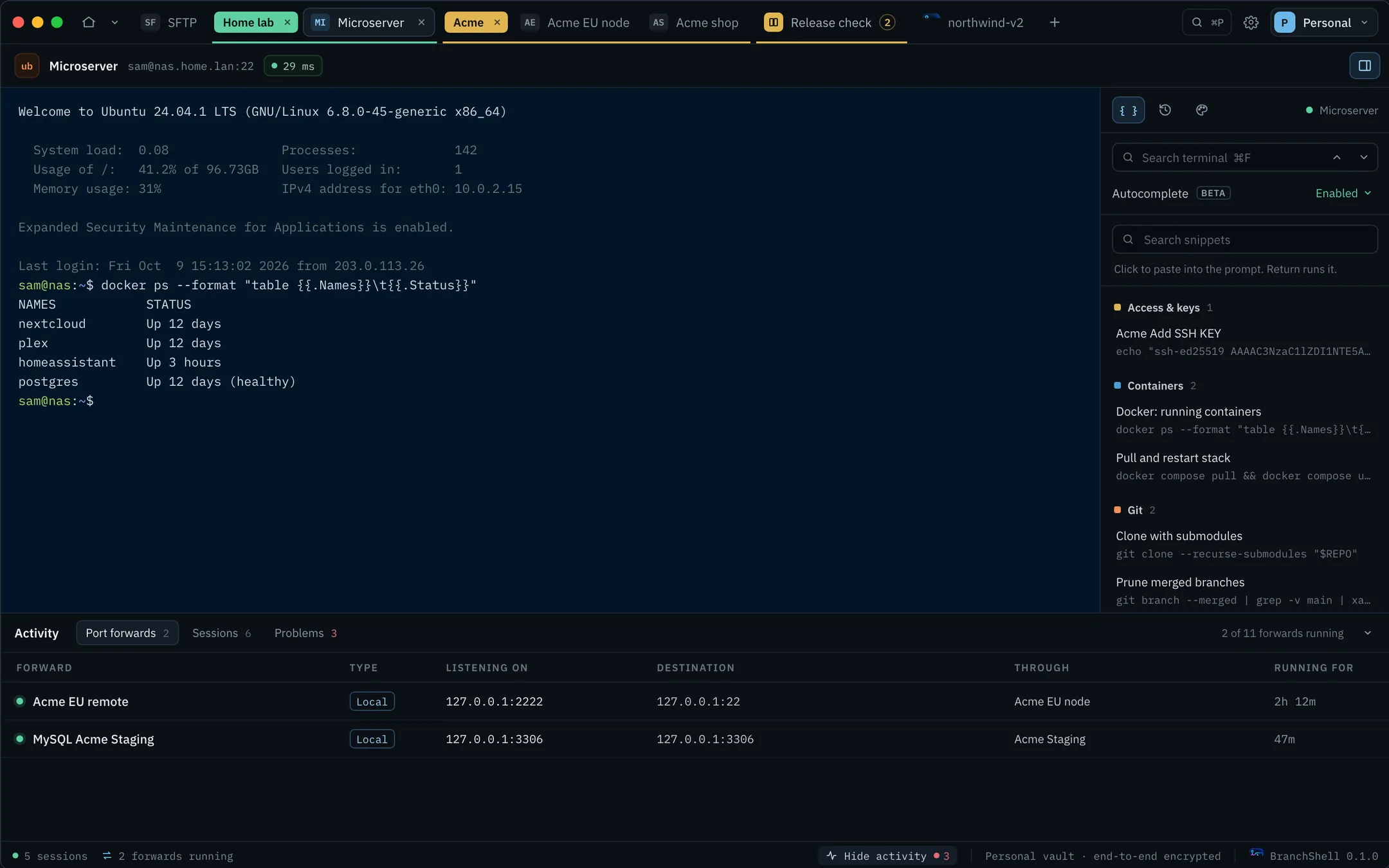 The BranchShell Activity bar listing two running port forwards under an open terminal