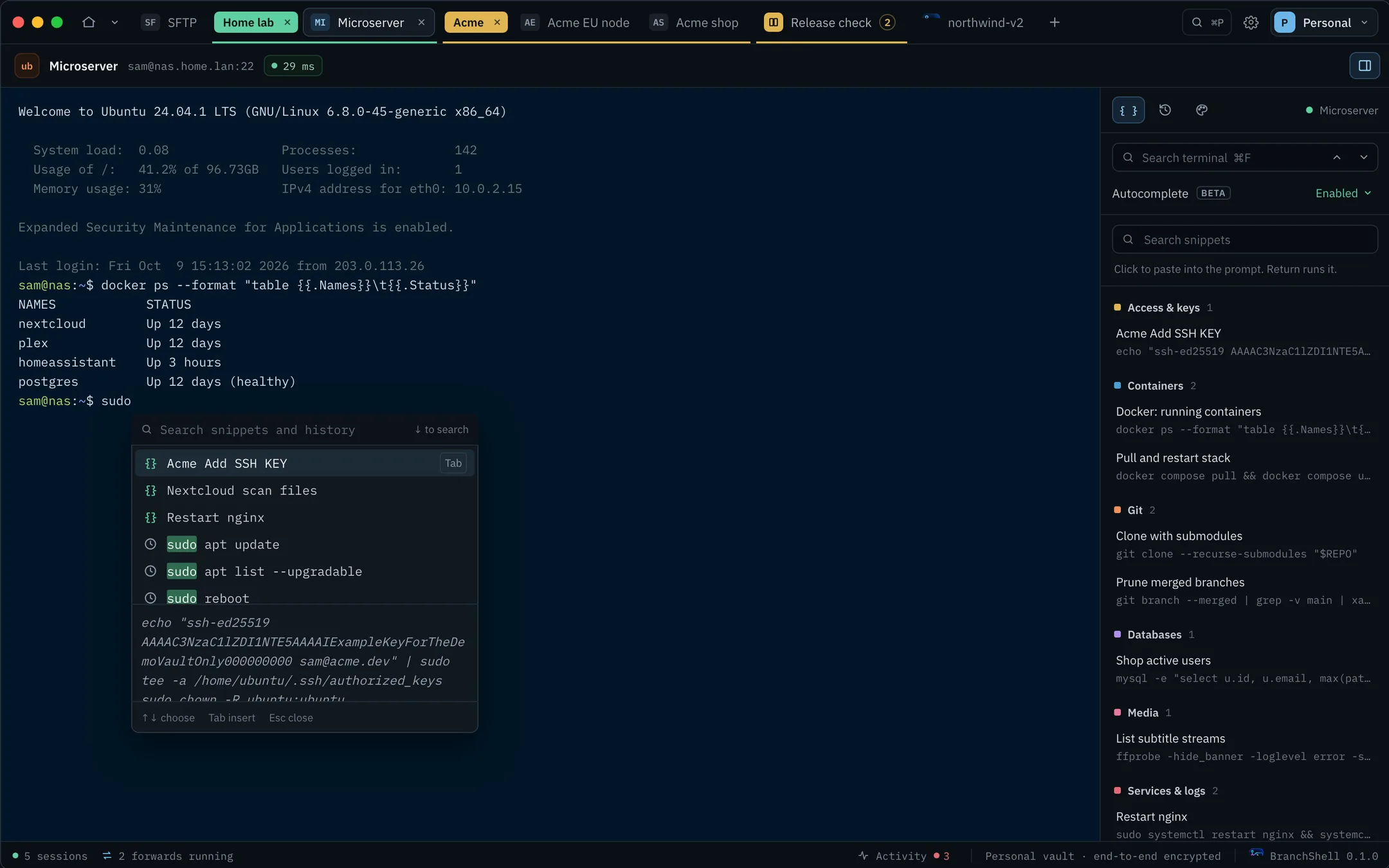 The BranchShell autocomplete popup suggesting snippets and history after typing sudo, with the snippets panel open