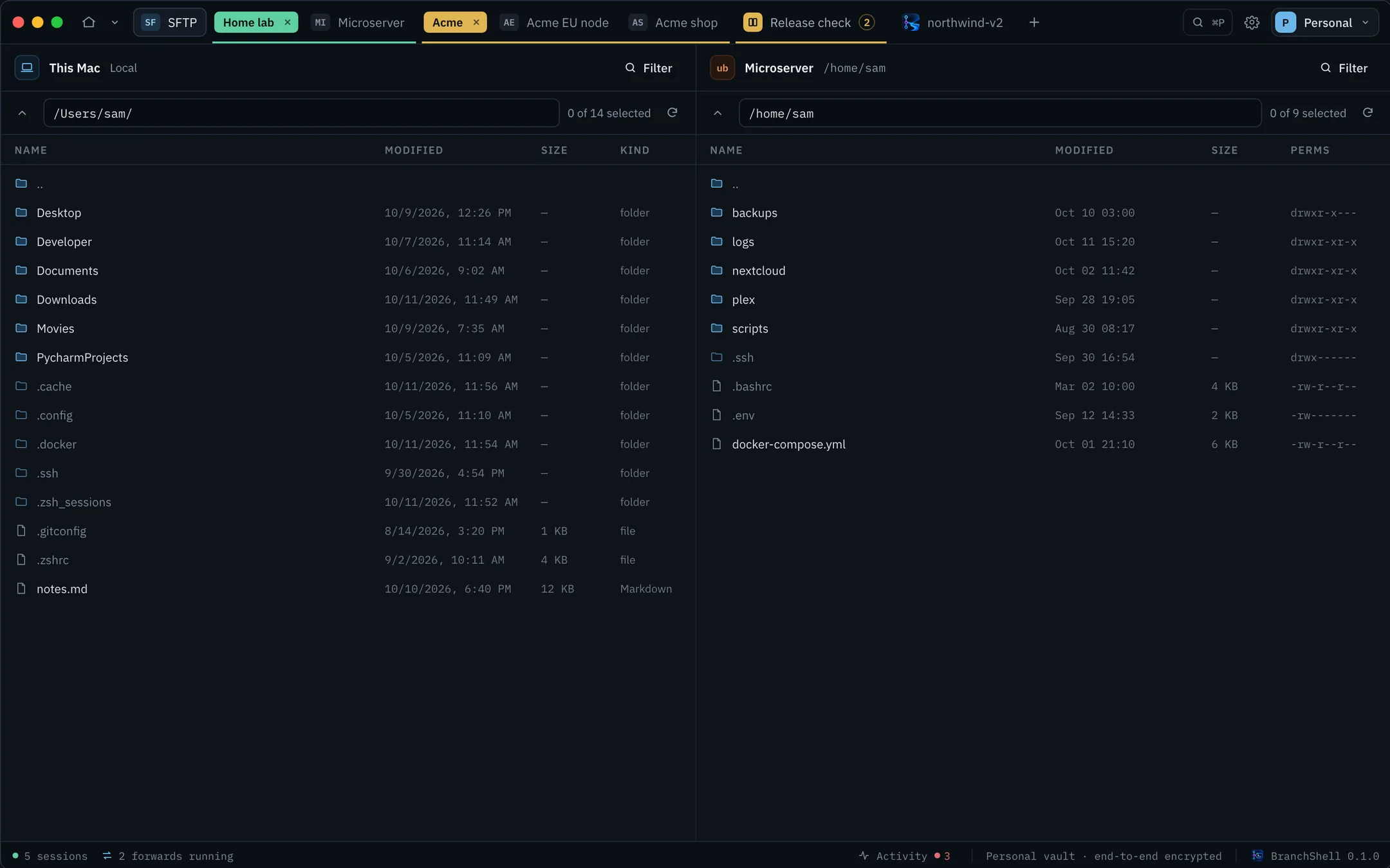 The BranchShell SFTP tab with the local home folder on the left and a remote home folder on the right