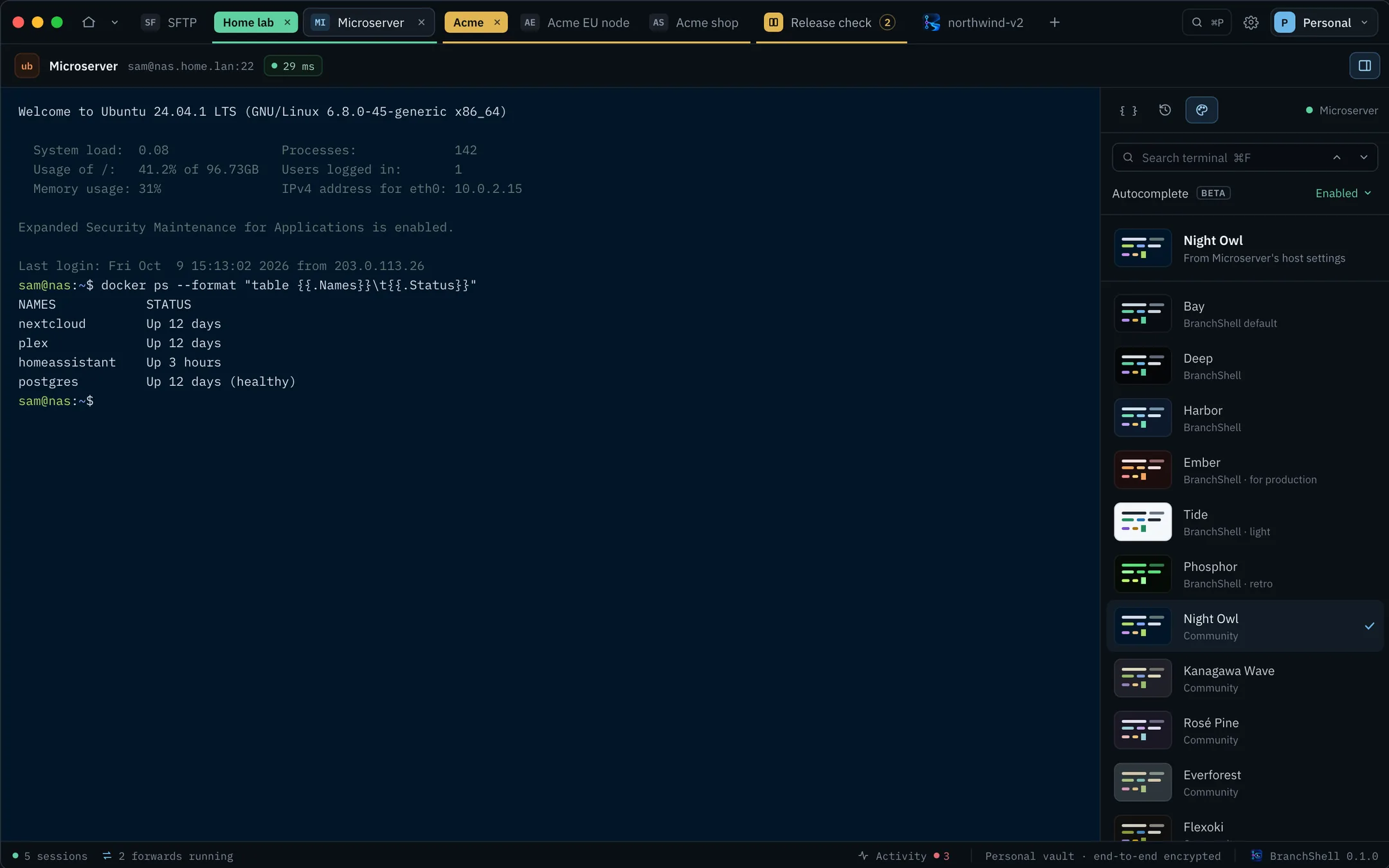 A BranchShell session in the Night Owl theme with the theme picker open in the side panel