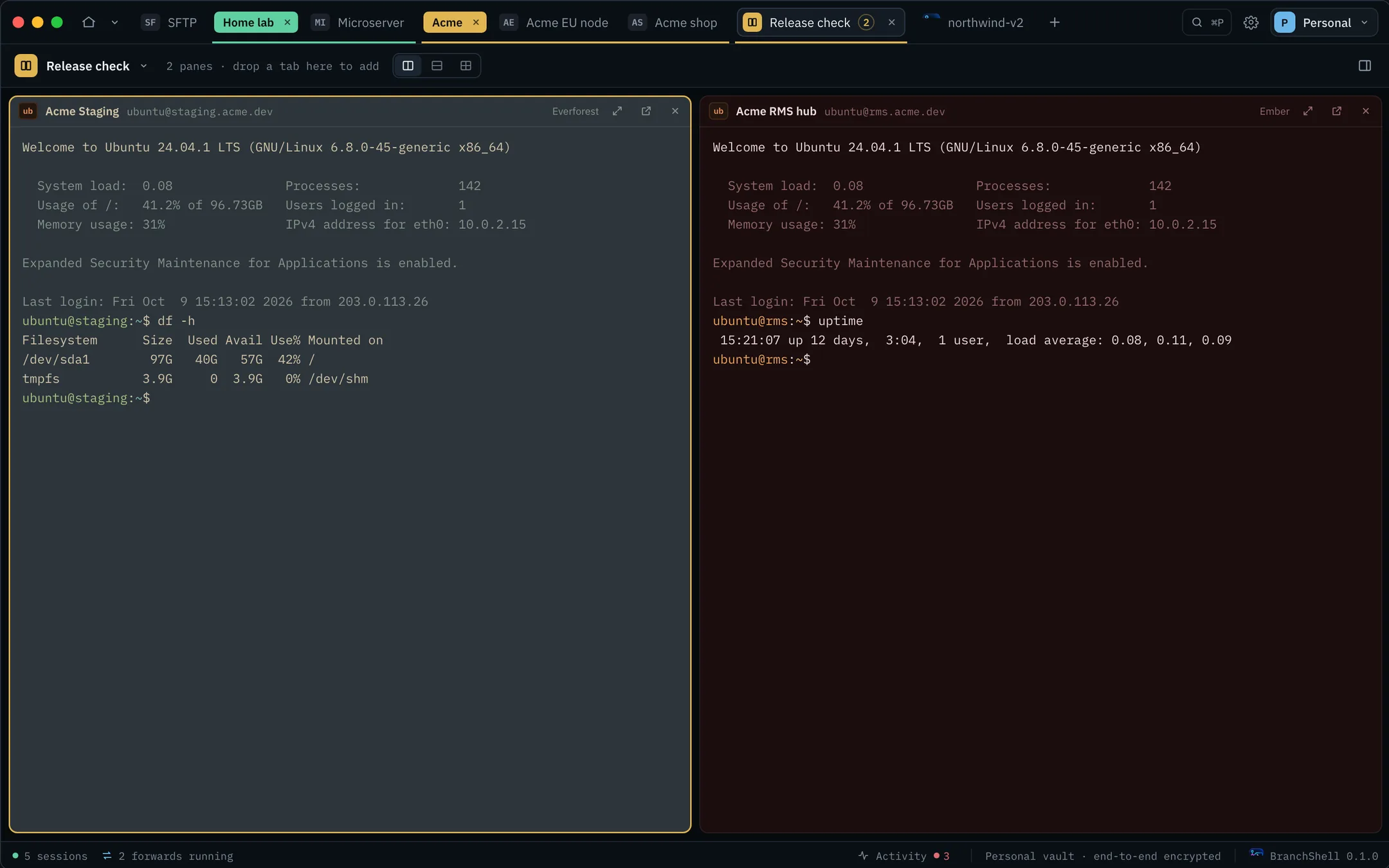 A BranchShell workspace named Release check with two hosts side by side, each in its own theme